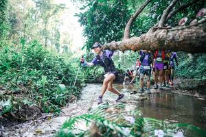 BIB: 
                            <button type="button" onclick="openModal(25453044)" class="btn btn-primary btn-sm float-right btn-popup" data-toggle="modal" data-target=".modal-high-quality">
                        <i class="fas fa-shopping-cart"></i> Add to Cart
                    </button>
                                            <button type="button" onclick="isThisMe(25453044, true)" class="btn btn-success btn-sm float-right btn-popup btn-isme hidden" data-toggle="tooltip" data-placement="bottom" title="นี่คือรูปของคุณใช่ไหม คลิกที่นี่เพื่อเอาเข้าอัลบั้ม">
                        <i class="fas fa-plus"></i> Add to album
                    </button>
                    <button type="button" onclick="isThisMe(25453044, false)" class="btn btn-warning btn-sm float-right btn-popup btn-isnotme hidden">
                        <i class="fas fa-ban"></i> Remove from album
                    </button>